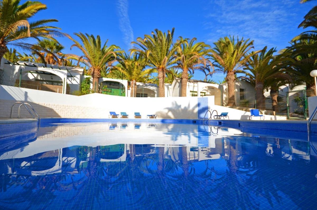 Ferienwohnung Palm Garden - Costa Calma - Pool - Glasfaserinternet Eksteriør bilde